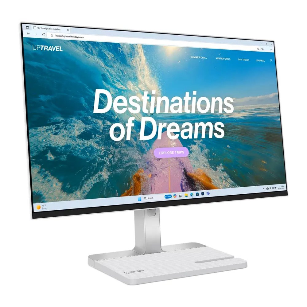 Lenovo 24" L24D-4C